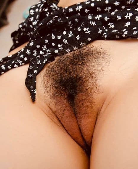 Image of New hairy and wet pussy head 961686796